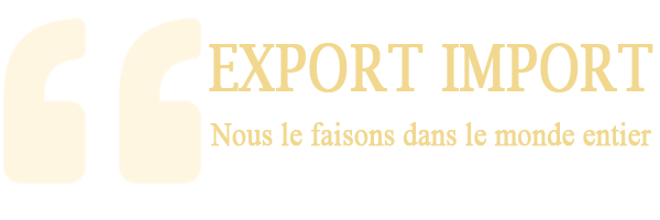 rm_group_qui_sommes_nous_export_import_section02